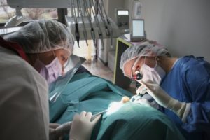 a dentist placing a dental implant in a patient's mouth